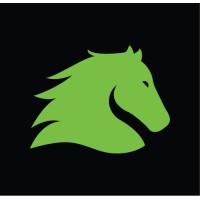 Stallion Site Services logo - Similar company to Bz Build Co