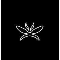 Saphrosphere Studio logo - Similar company to Adatte Design Sa