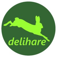 Delihare logo - Similar company to Broad Motions
