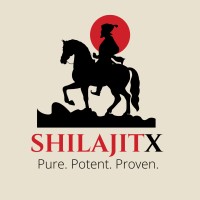ShilajitX logo - Similar company to My Digi Bridge