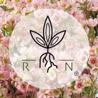 Raíz Nativa logo - Similar company to Alerlit Cacao