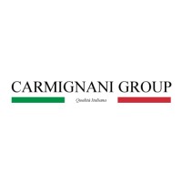 Carmignani Group Srl logo - Similar company to The Bee Dance Cpas
