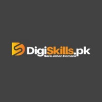 Digiskills logo - Similar company to Ns Consulting & Training