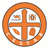 CESTAB logo - Similar company to Spmg Green Cleaning