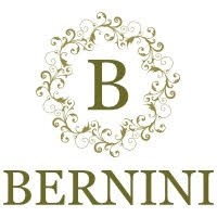 Bernini Natural Stone logo - Similar company to Amended Surfaces