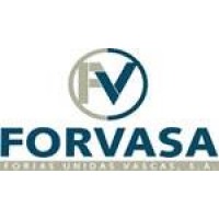 FORVASA logo - Similar company to Ibiltek
