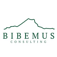 Bibemus Consulting logo - Similar company to Cybèle Asset Management