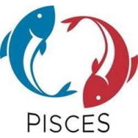 PISCES International logo - Similar company to Stem-Ulation Foundation