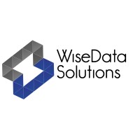 WiseData Solutions logo - Similar company to Soluflex