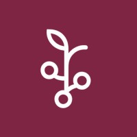 Vinehub logo - Similar company to Caymus Canada