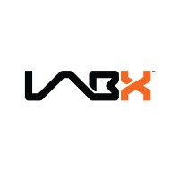 LabX.co logo - Similar company to Ilona Networks