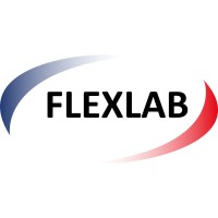 Flexlab Consultoria e Treinamento ltda. logo - Similar company to Flexlab