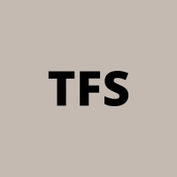 TFS Grupo logo - Similar company to 4 De Junio
