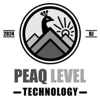 PeaQLevel Technology logo - Similar company to Buyinside