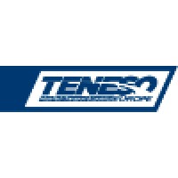 Mitsafetrans & Teneso Europe Se