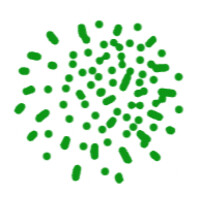The Rainforest logo - Similar company to Project Blackthorn