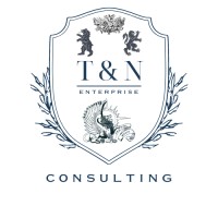 T&N Digital logo - Similar company to Chapter Six