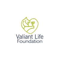 Valiant Life Foundation logo - Similar company to Center For Innovation And Entrepreneurship