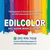 EDILCOLOR DEL GEOM. MARCO DELRIO SRL logo - Similar company to Wazzcool