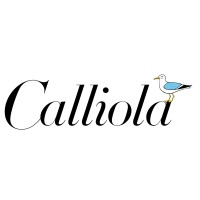 Calliola Conference & Event Hotel logo - Similar company to Cloything Oy