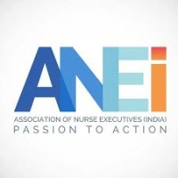ANEI logo - Similar company to Ip&C Consulting, Llc