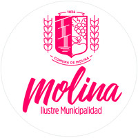 Ilustre Municipalidad de Molina logo - Similar company to Constructora E Inmobiliaria Brach