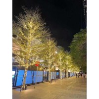 Lankao Rayer Lighting Product Co.,ltd logo - Similar company to Horus Lighting Ltd