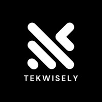 TekWisely logo - Similar company to Bidvid