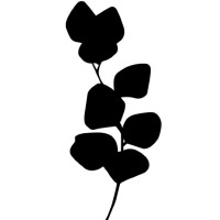 Rare Pharm logo - Similar company to Beautywithin
