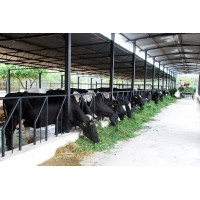 MAIN HILL FARM logo - Similar company to Dow Elef International
