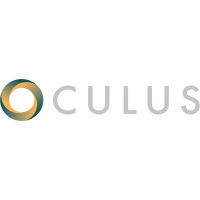 Oculus Private Limited logo - Similar company to Freespective Consulting