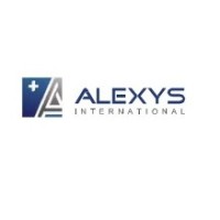 Alexys International logo - Similar company to Northside Technical Solutions