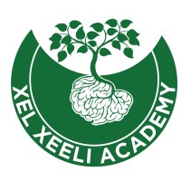 XEL-XEELI ACADEMY logo - Similar company to Development Edge