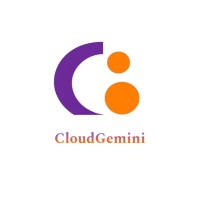 CloudGemini Solutions logo - Similar company to Diacto Technologies