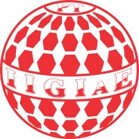 PT INDOSUR INTERNATIONAL GENERAL IMPORT AND EXPORT logo - Similar company to Import Partner