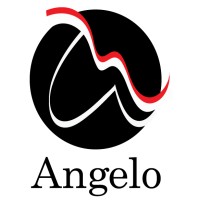 ANGELO INTERNATIONAL HAIRSTYLE logo - Similar company to Proclima.Be