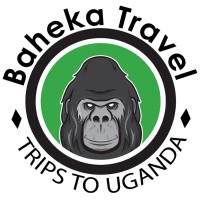 BAHEKA TRAVEL logo - Similar company to Smart Dream Vacations