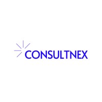 ConsultNex logo - Similar company to Caps & Partners Inc.