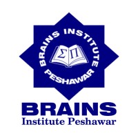 BRAINS Institute Peshawar logo - Similar company to Bimpacc (Bimpak)