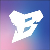 BYTESITE LLC logo - Similar company to Bytesite Digital