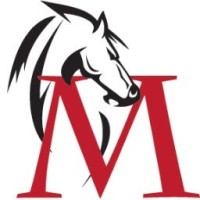 Mustang Media, Inc. logo - Similar company to Flashupmobi