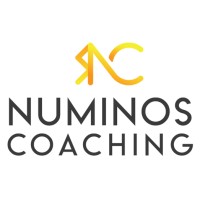 Numinos Coaching logo - Similar company to Aalto Coaching