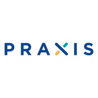 Praxis Agency logo - Similar company to Netcollec Bilişim Ve Teknoloji A.Ş