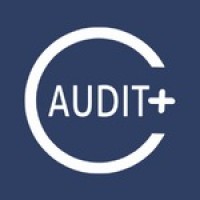 AuditMais Auditoria | Consultoria logo - Similar company to Gondim Consultoria