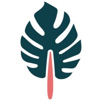 Monstera-Solutions | Webdesign | Google & Social Ads | AI-gestützte Lösungen für EPU & KMU logo - Similar company to Koh Creative