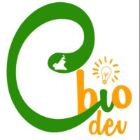 Cambio Dev