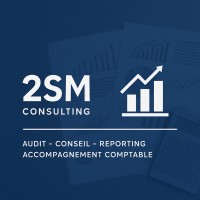S2M CONSULTING logo - Similar company to Concierge Bb