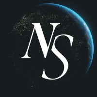 The Network State Company logo - Similar company to Baseflow