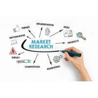 IDS Insightful Data Sol logo - Similar company to Zentrolytic