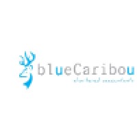 blueCaribou Chartered Accountants logo - Similar company to Bluecaribou Software Solutions